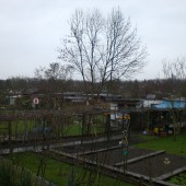 Kleingartenanlage