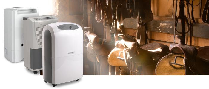 Mould in the tack room