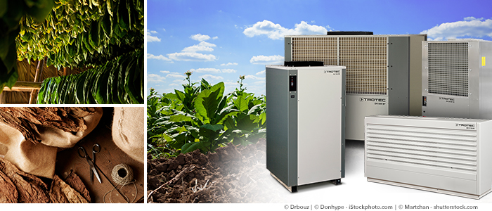 déshumidification du tabac