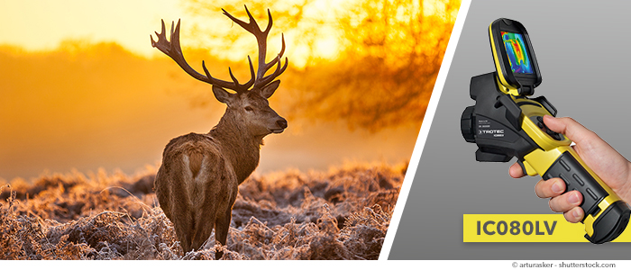 kamera na podczerwień