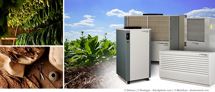 tro_blog_DH-Serie_banner