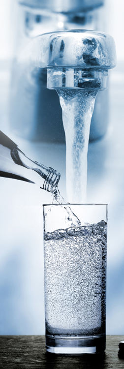Mineralwasser oder Leitungswasser