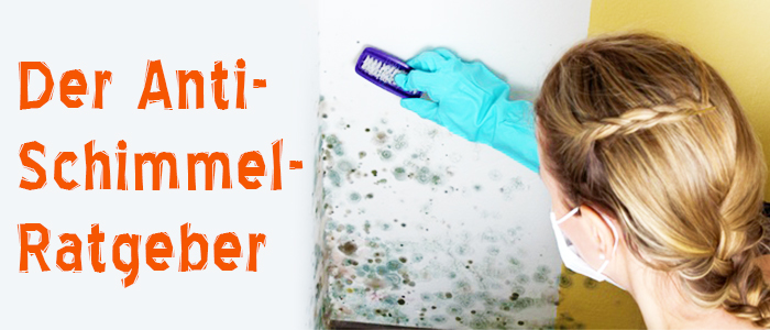 Der Anti-Schimmel Ratgeber